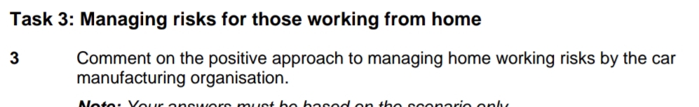  Task 3: Managing risks for those working from home 3 Comment