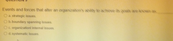  a. strategic issues. b. boundary spanning issues c. organizationl internal issues.