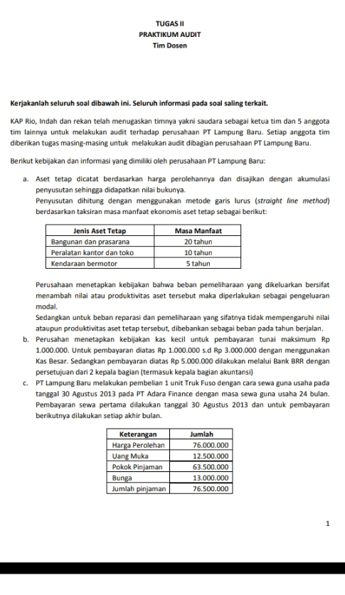 peaktikum audit 2 \f