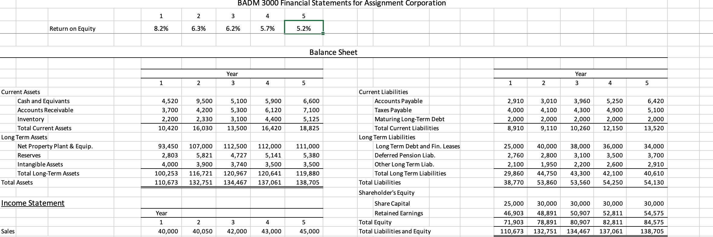 a set of Financial Statements (Balance Sheet and Income Statement) for a