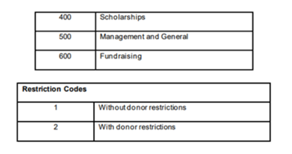 Cash 41001 Contributions 12000 Investments 41002 In kind contributions 13000 Pledges receivable