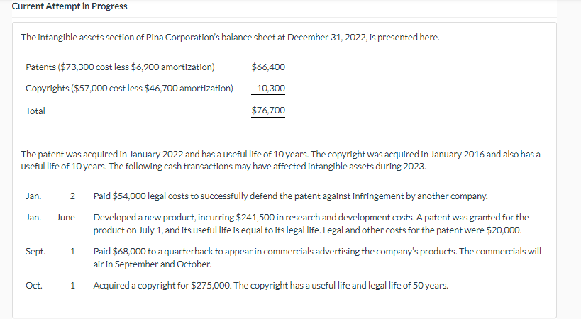 Current Attempt in Progress The intangible assets section of Pina Corporation's