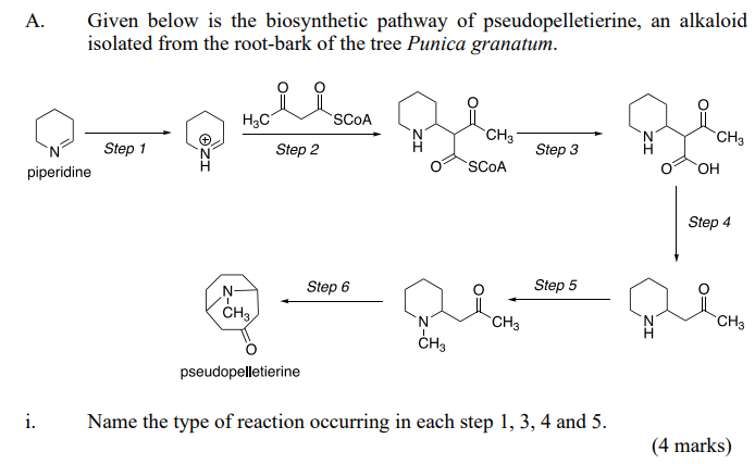 answer this please A. Given below is the biosynthetic pathway of pseudopelletierine,