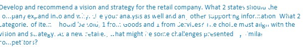  Develop and recommend a vision and strategy for the retail company.