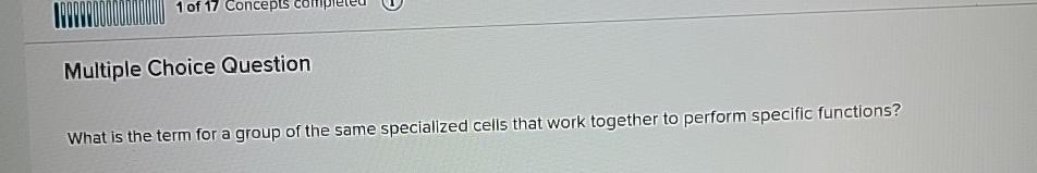  Multiple Choice Question What is the term for a group of