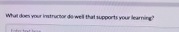  What does your instructor do well that supports your learning? 