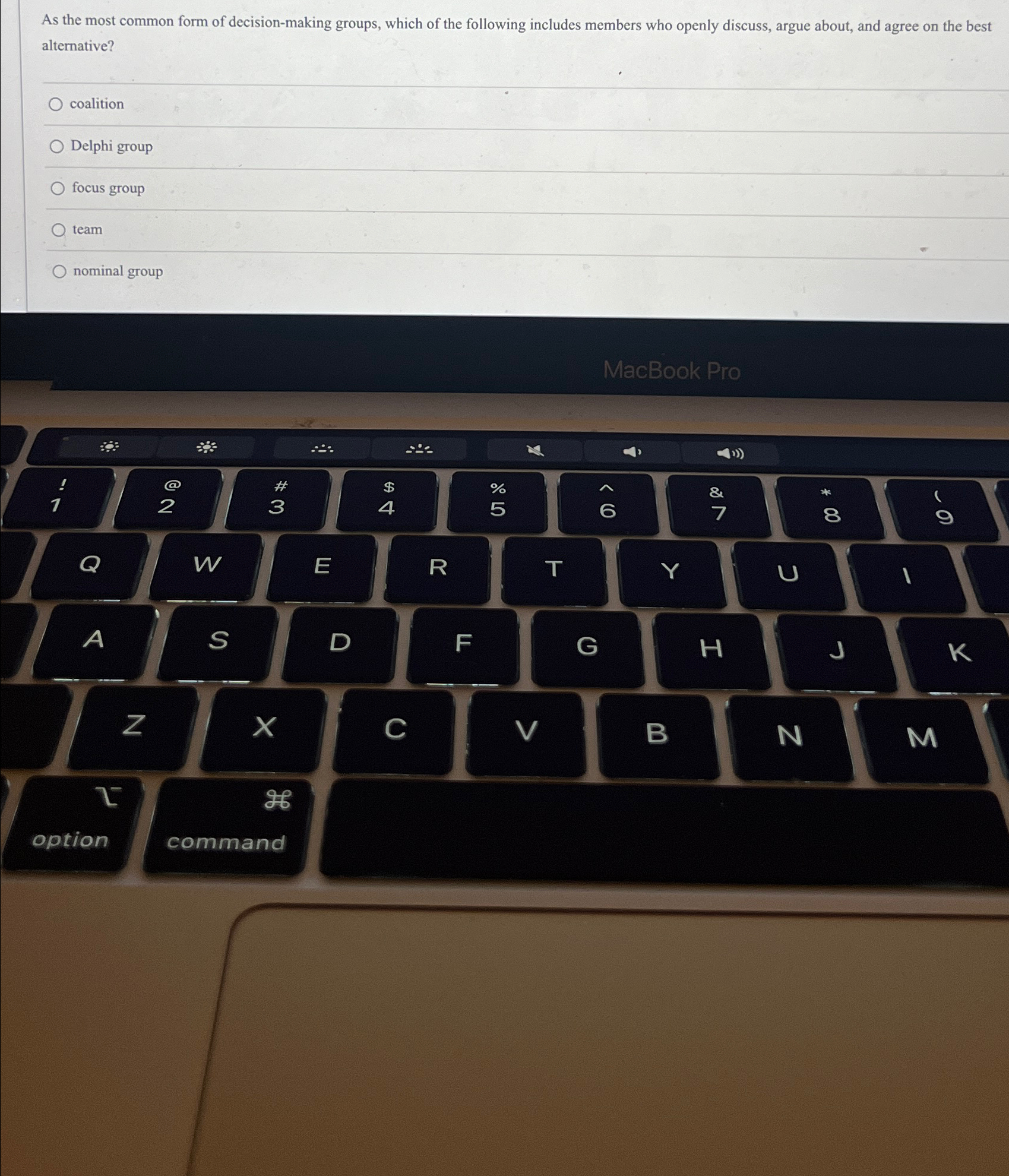  As the most common form of decision-making groups, which of the