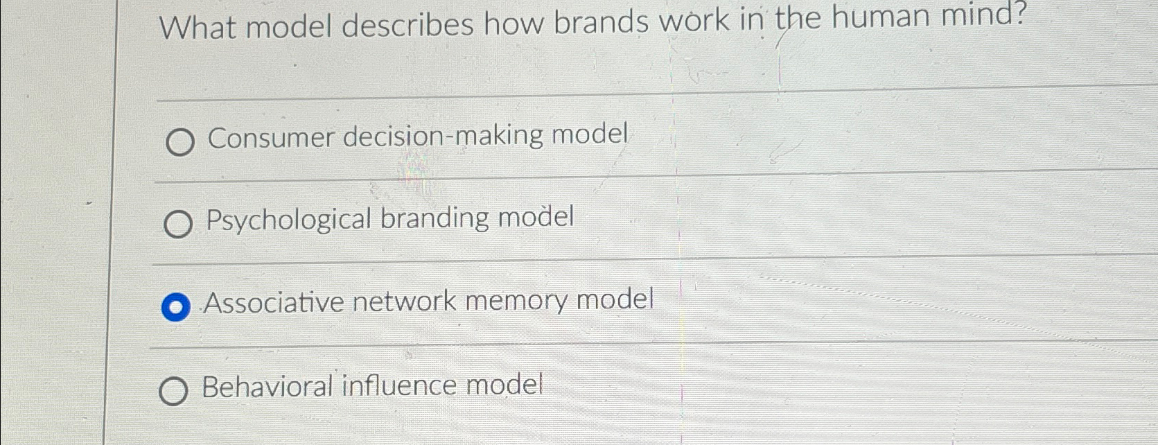  What model describes how brands work in the human mind? Consumer