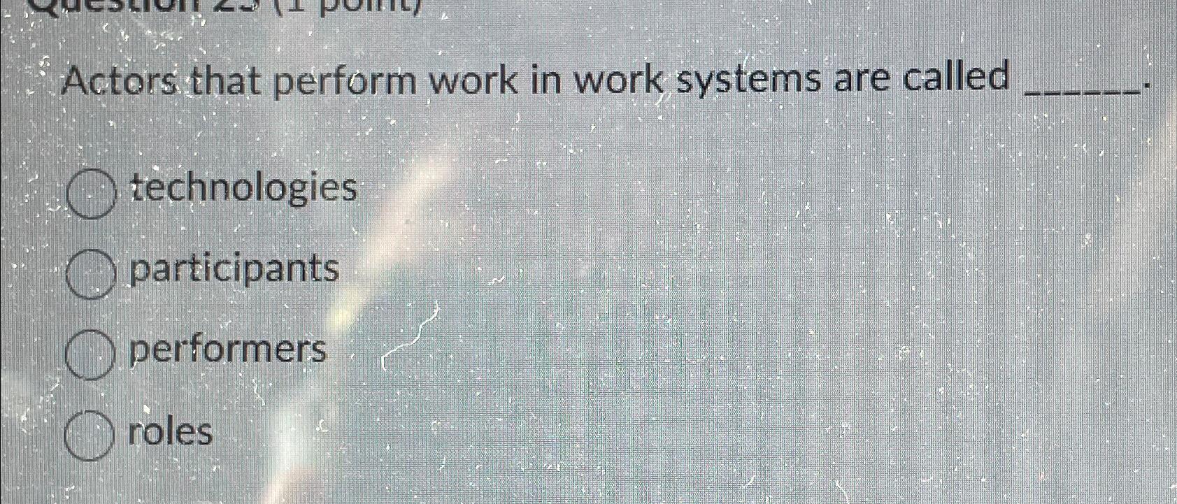  Actors that perform work in work systems are called technologies participants