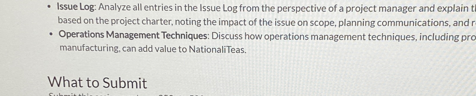  Issue Log: Analyze all entries in the Issue Log from the