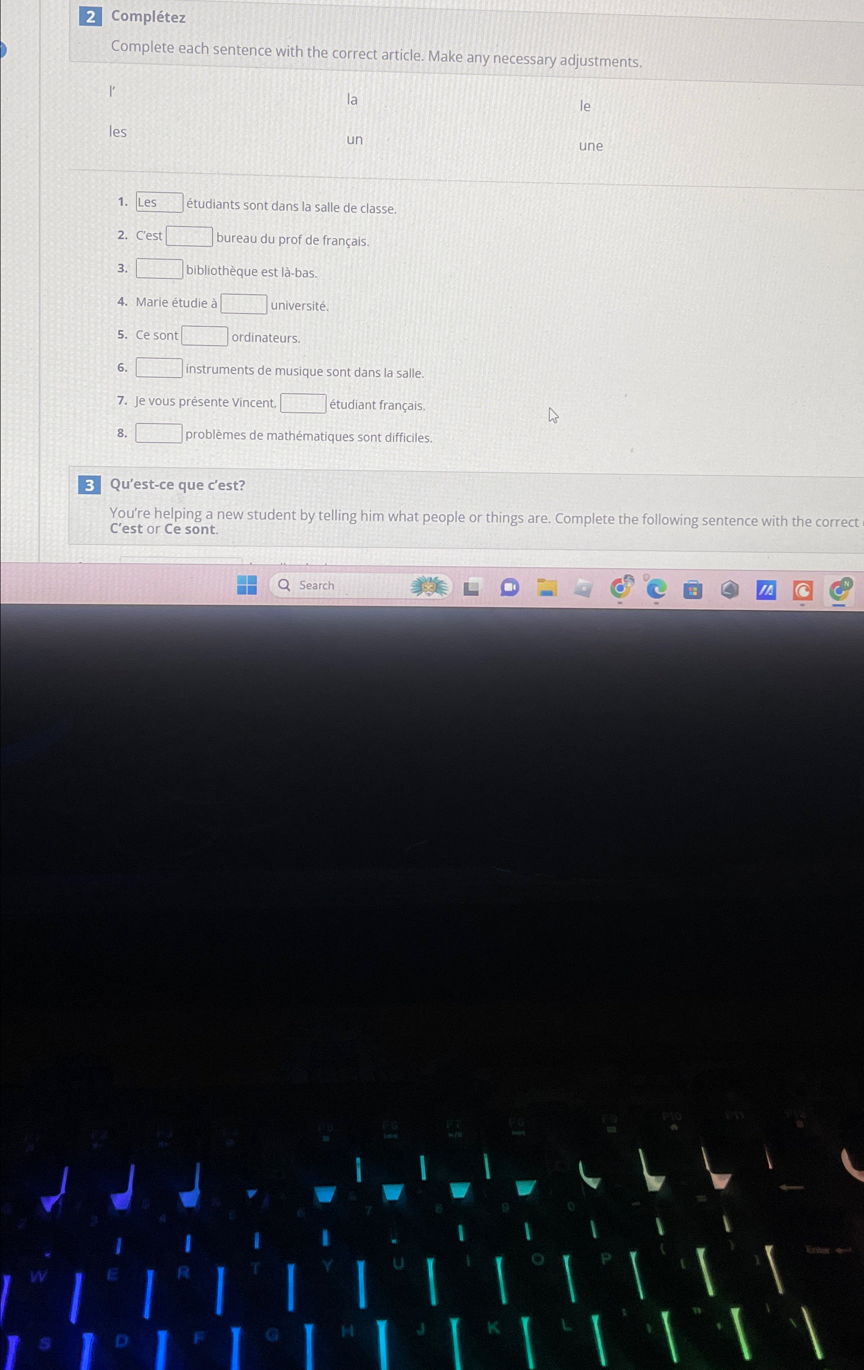  Compltez Complete each sentence with the correct article. Make any necessary
