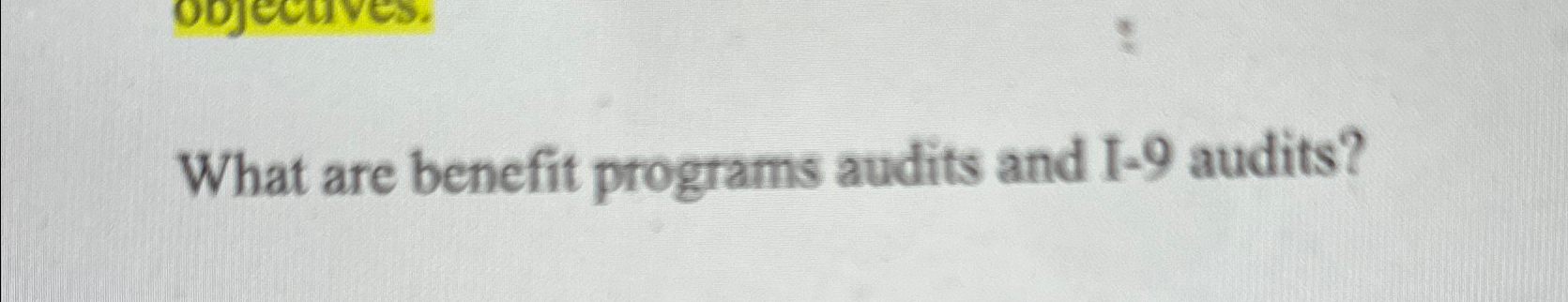  What are benefit programs audits and I-9 audits? 
