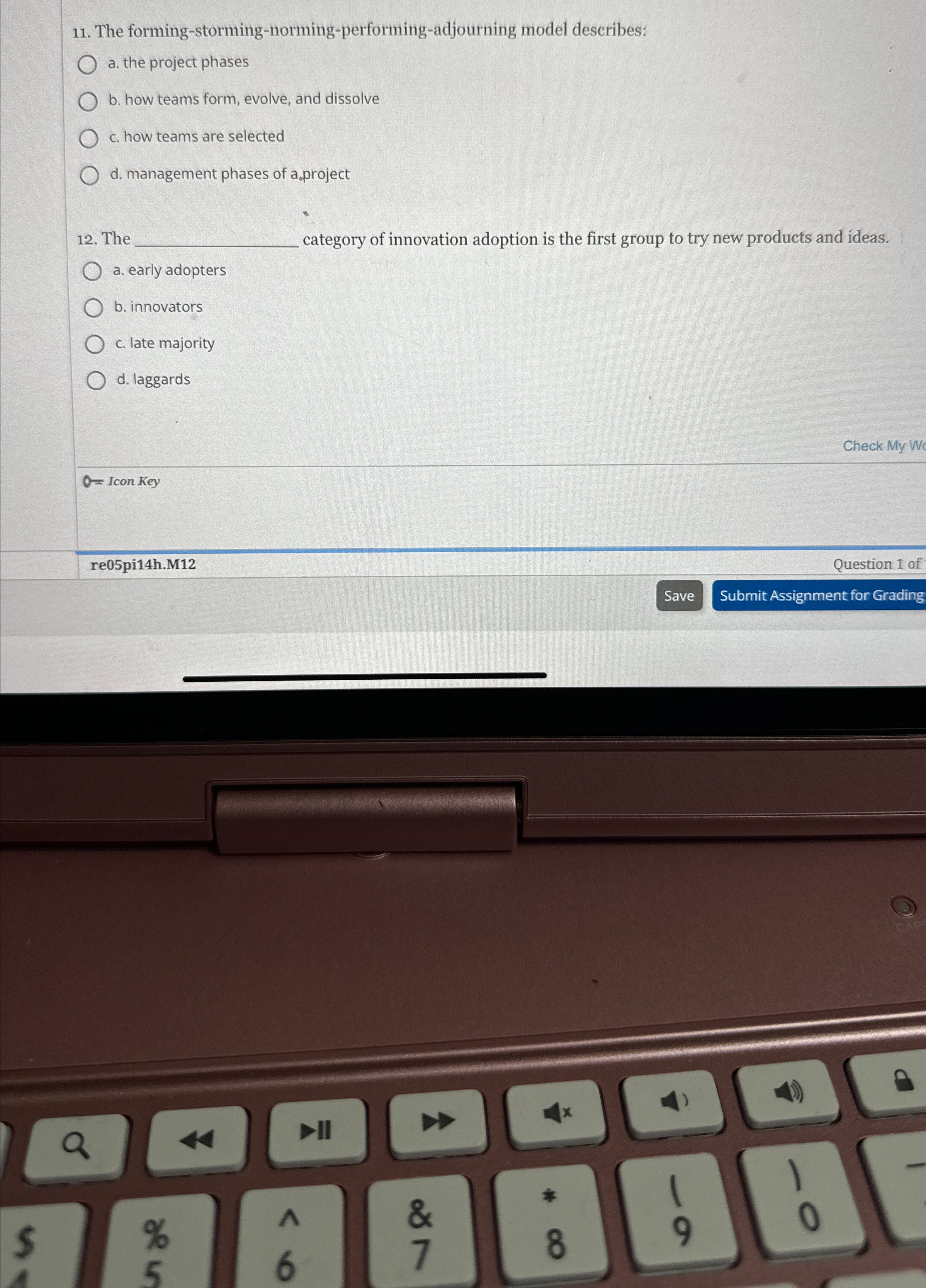  The forming-storming-norming-performing-adjourning model describes: a. the project phases b. how teams