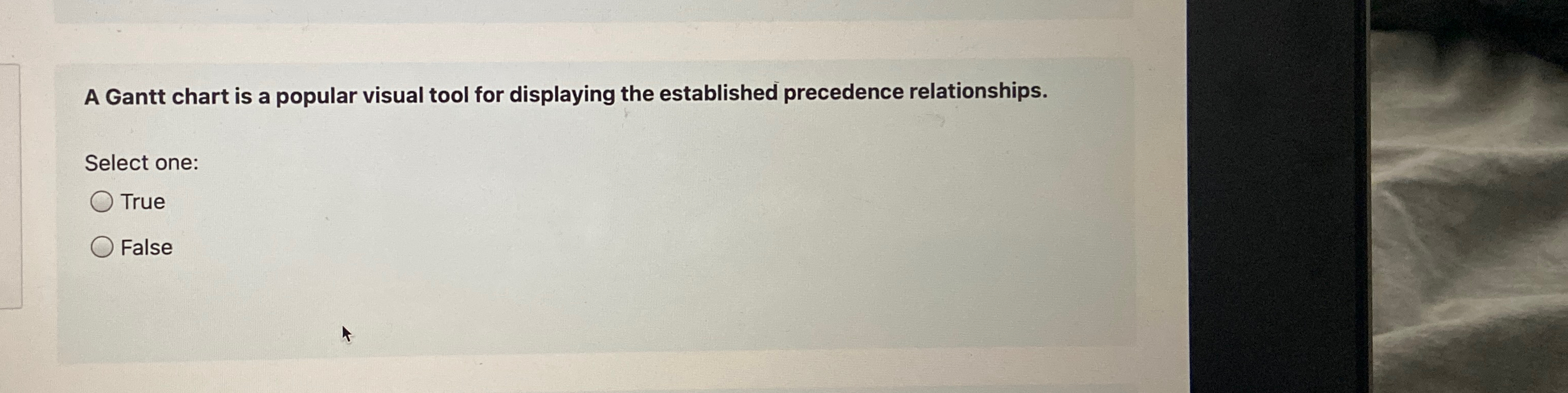  A Gantt chart is a popular visual tool for displaying the