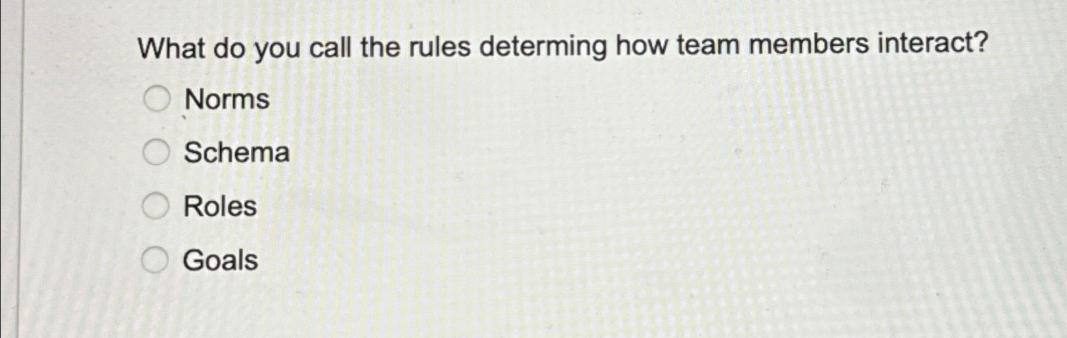  What do you call the rules determing how team members interact?