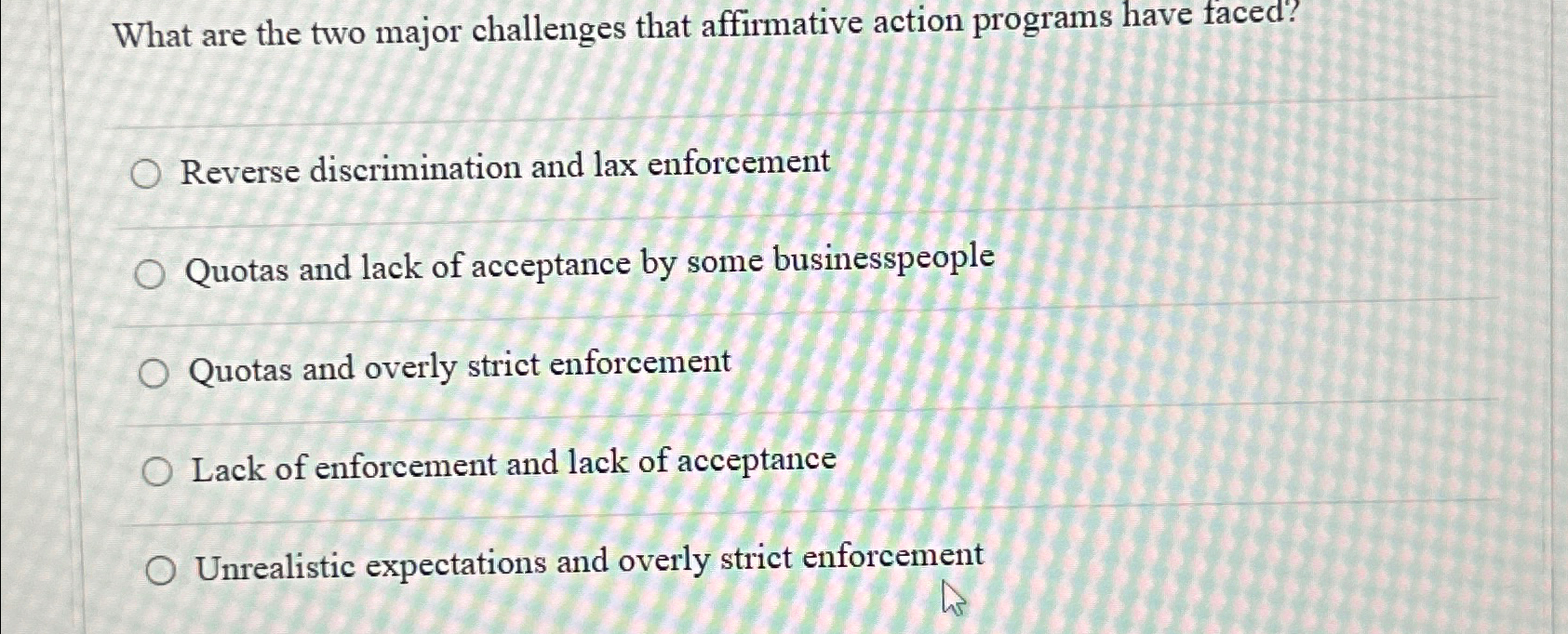  What are the two major challenges that affirmative action programs have