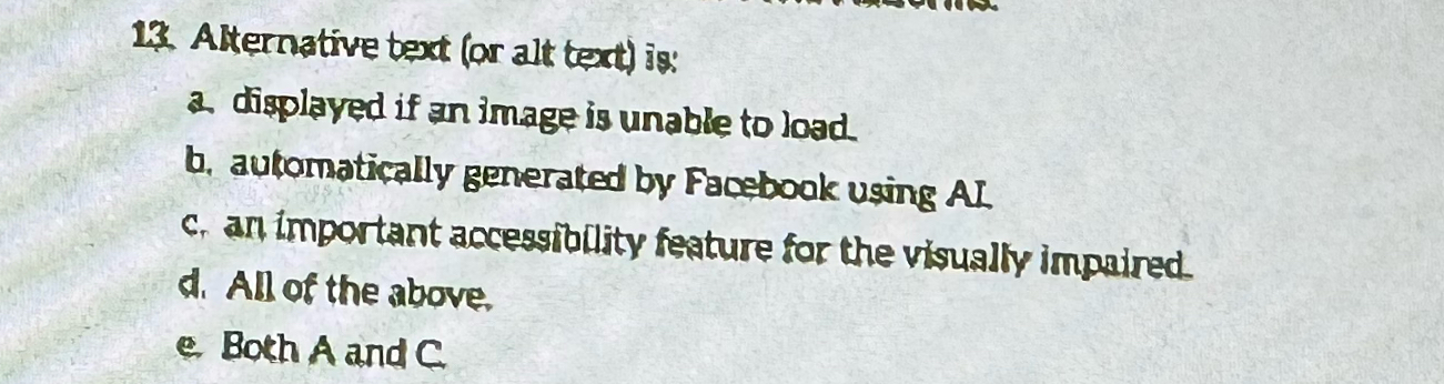  Alternative bext (or alt text) is A displayed if an image