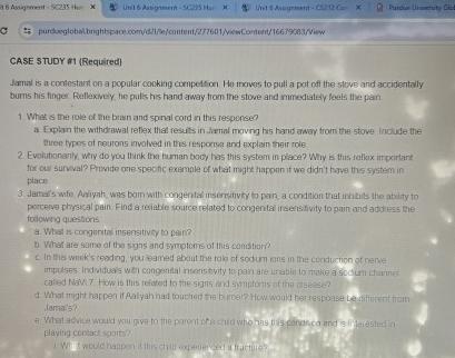  CASE STUOY an (Required) Jamal is a-contestant on a popular conking