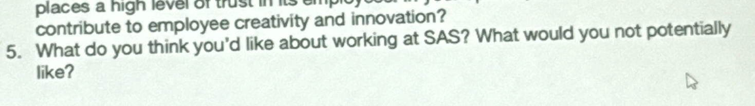  5. What do you think you'd like about working at SAS?