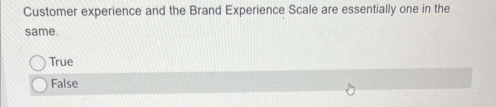  Customer experience and the Brand Experience Scale are essentially one in