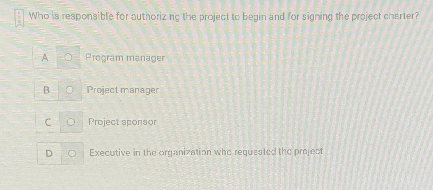  Who is responsible for authorizing the project to begin and for