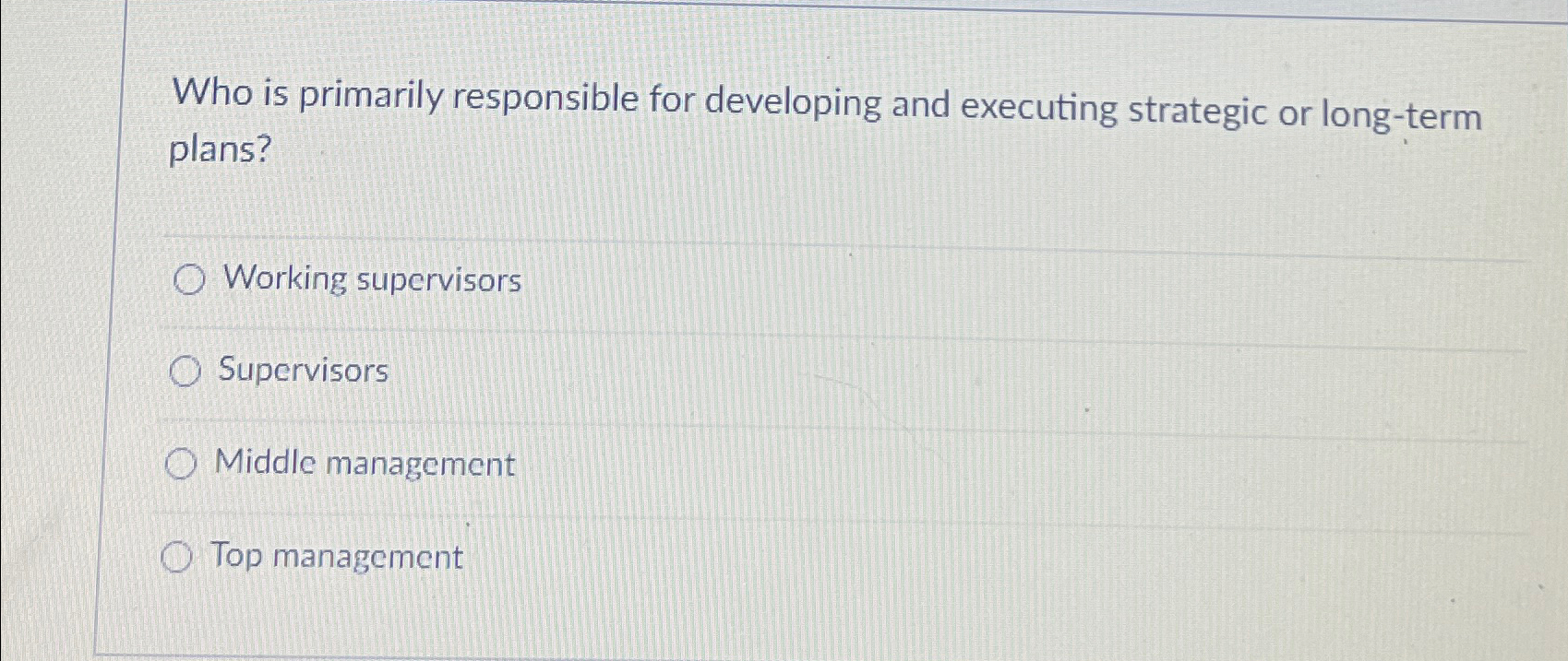  Who is primarily responsible for developing and executing strategic or long-term