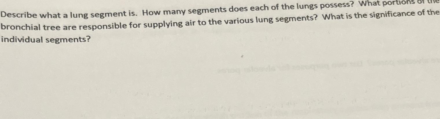  Describe what a lung segment is. How many segments does each