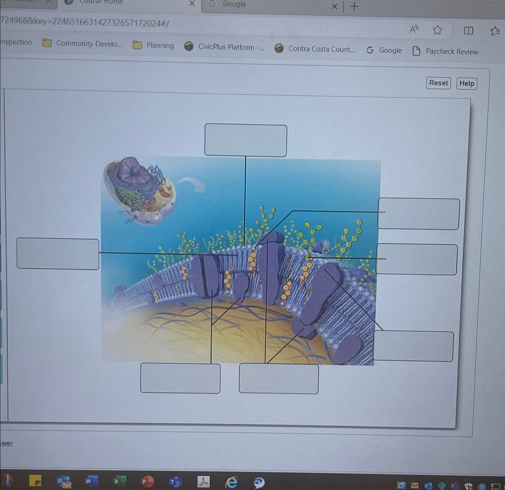  724968&key=224651663142732657172024#? Google nspection Community Develo... Planning CivicPlus Platform -... Contra Costa