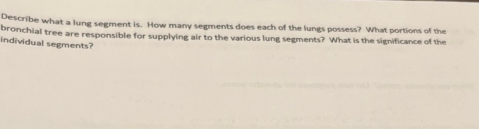  Describe what a lung segment is. How many segments does each
