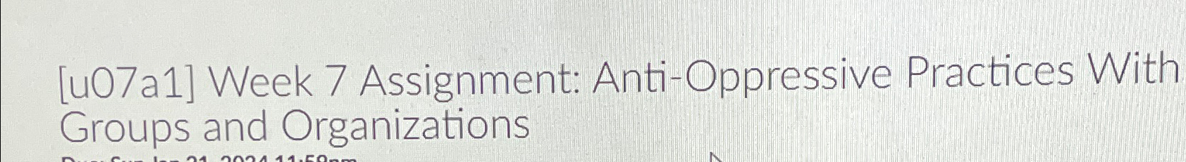  [u07a1] Week 7 Assignment: Anti-Oppressive Practices With Groups and Organizations 