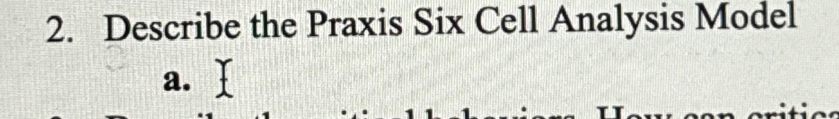  Describe the Praxis Six Cell Analysis Model a.x 