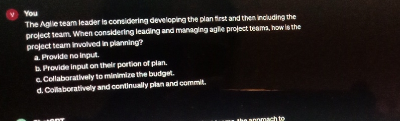  v You The Agile team leader is considering developing the plan