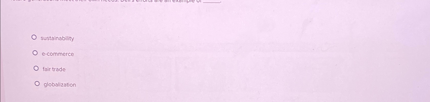  sustainability e-commerce fair trade globalization 