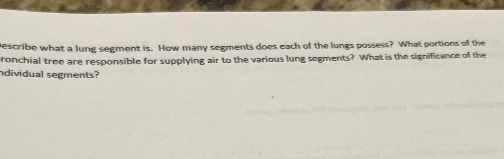  escribe what a lung segment is. How many segments does each