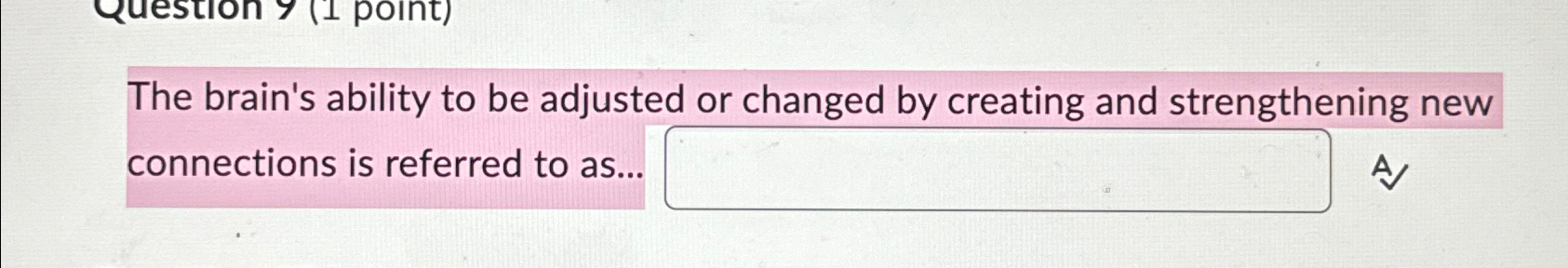  The brain's ability to be adjusted or changed by creating and
