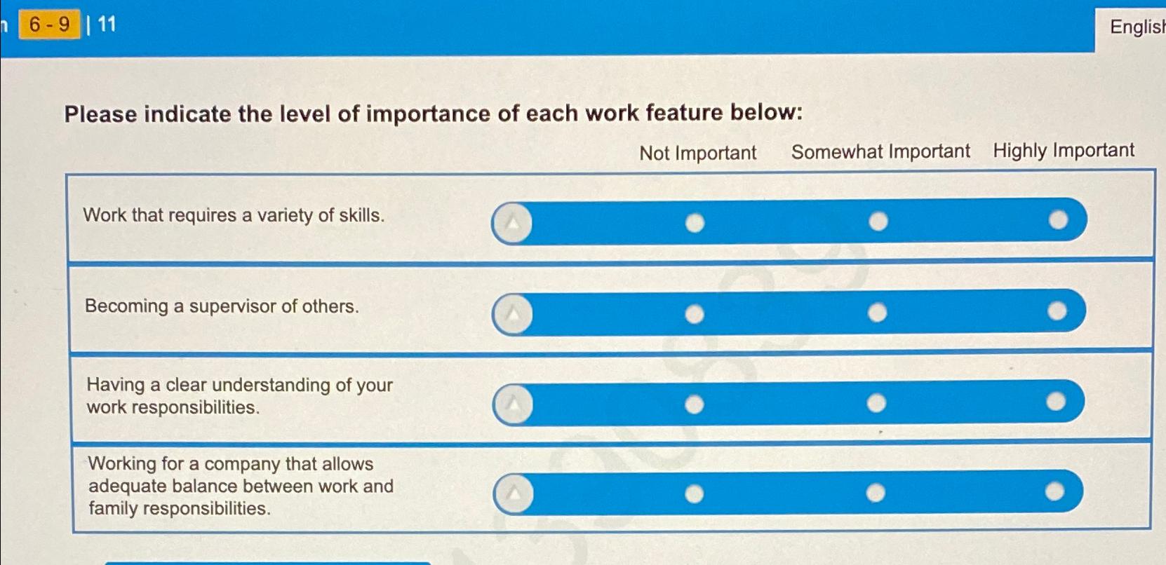  6-9|11| Please indicate the level of importance of each work feature