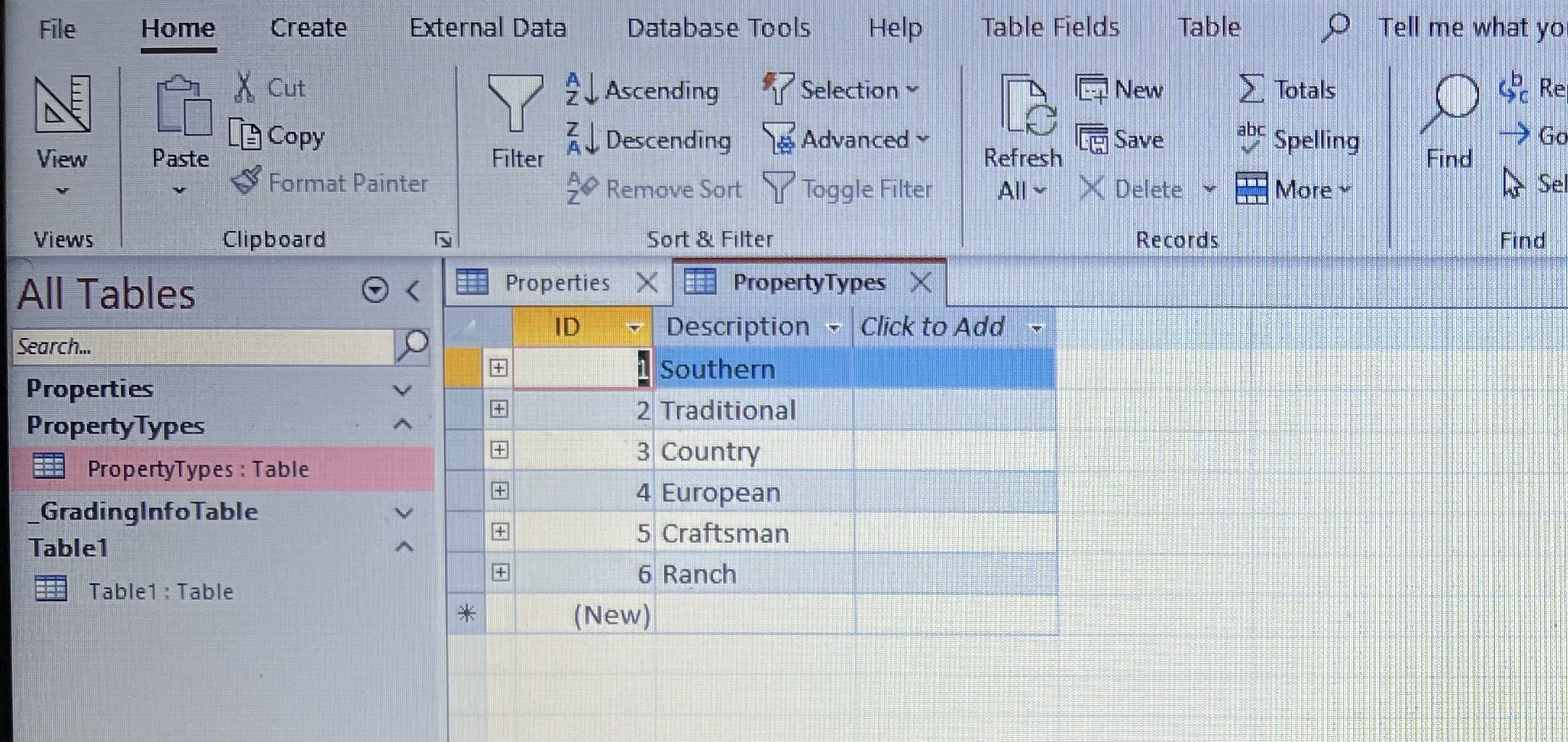 3. Open the PropertyTypes table in Datasheet view and then add a