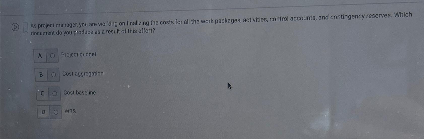  As project manager, you are working on finalizing the costs for