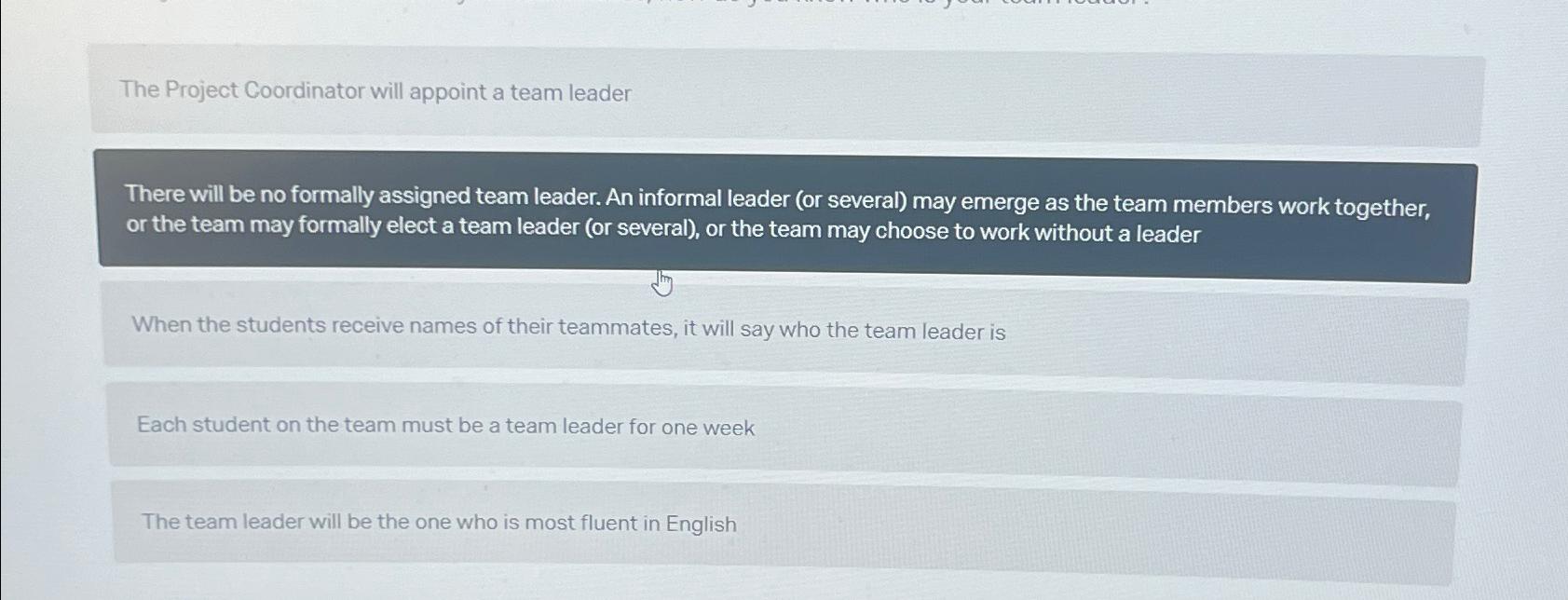  The Project Coordinator will appoint a team leader There will be