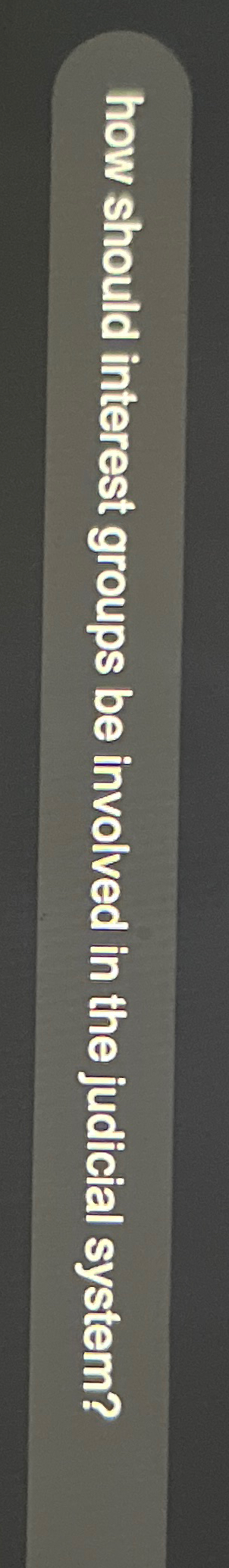  how should interest groups be involved in the judicial system? 