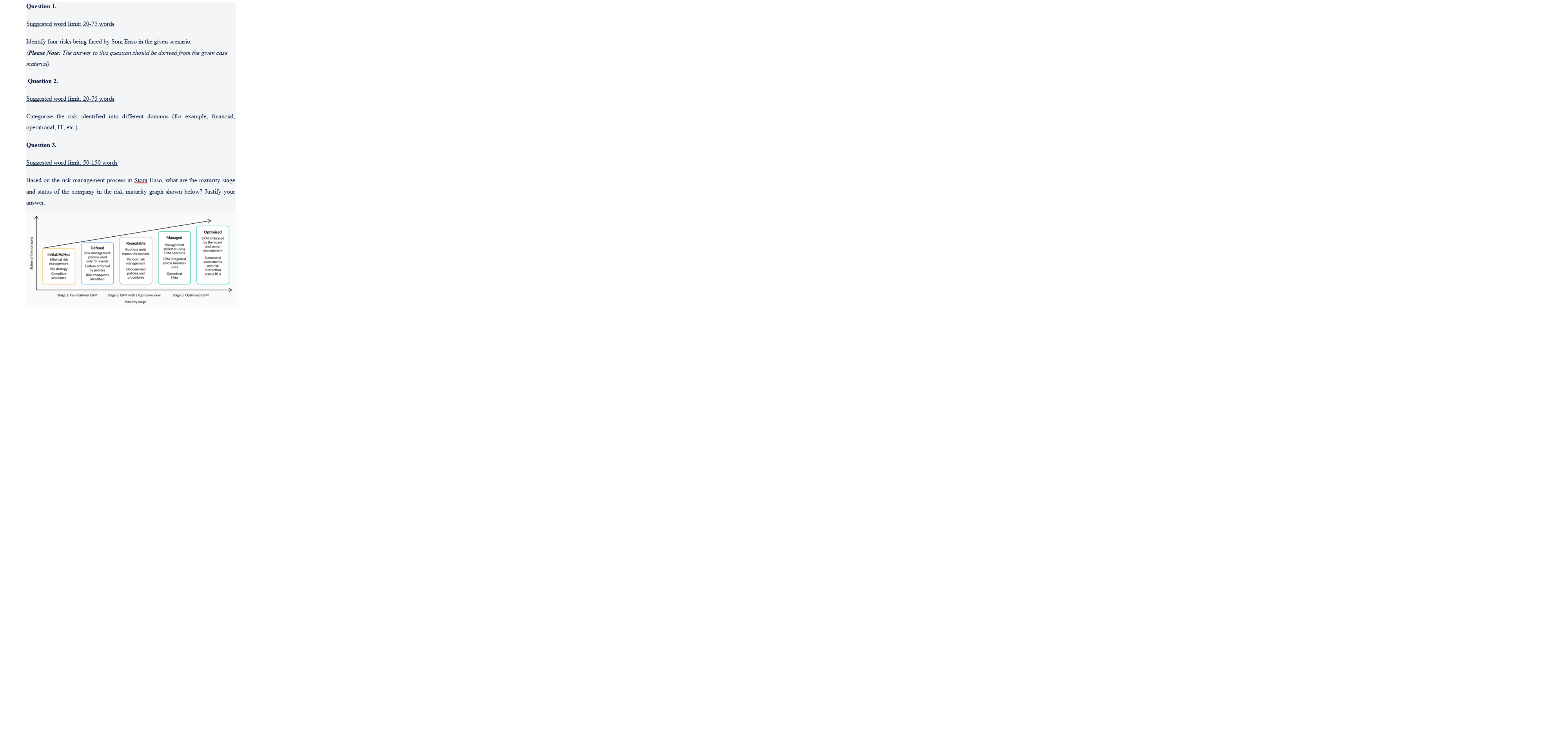 the maturity stage and status of the company in the risk maturity