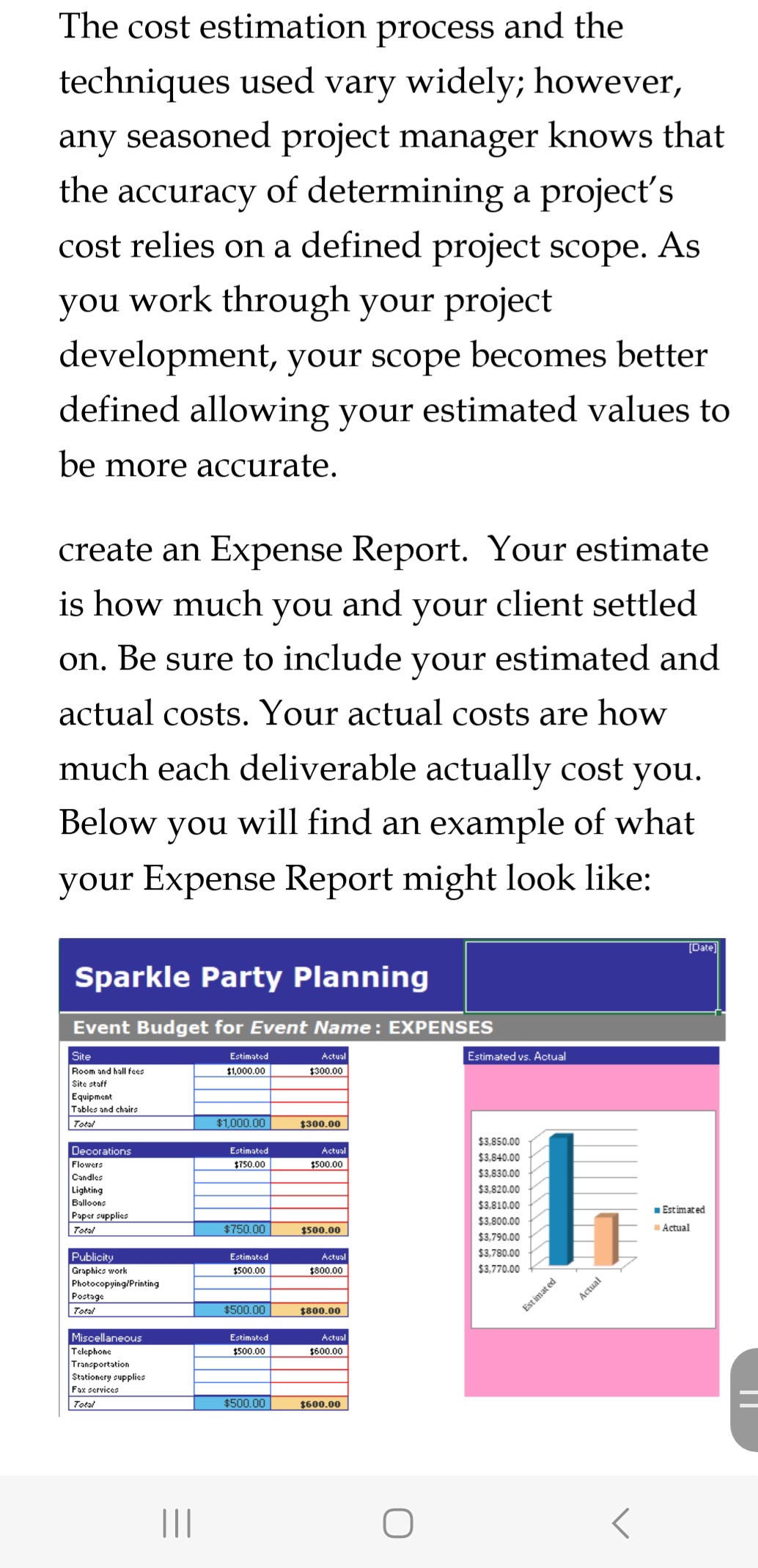 lead project manager for the launch party of a new toy that