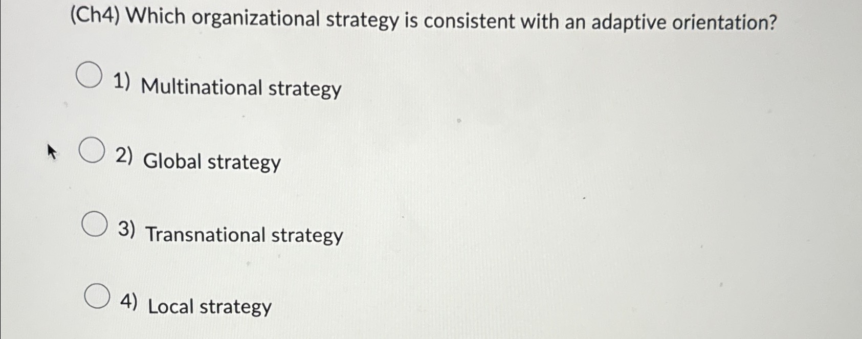  (Ch4) Which organizational strategy is consistent with an adaptive orientation? Multinational