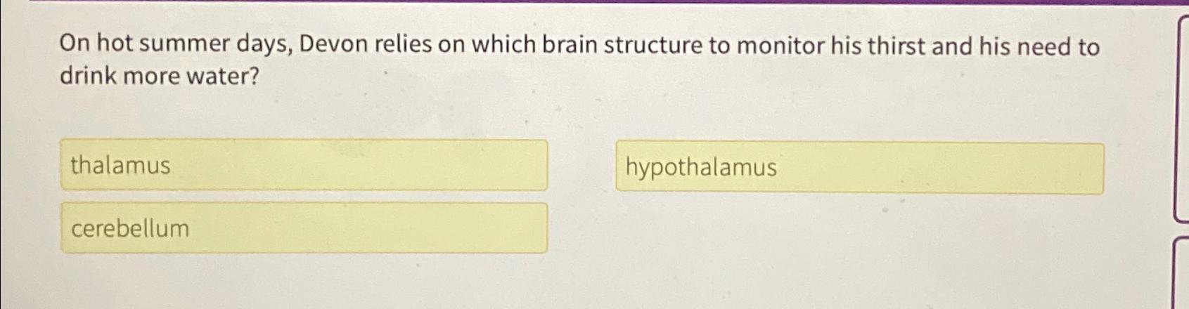  On hot summer days, Devon relies on which brain structure to