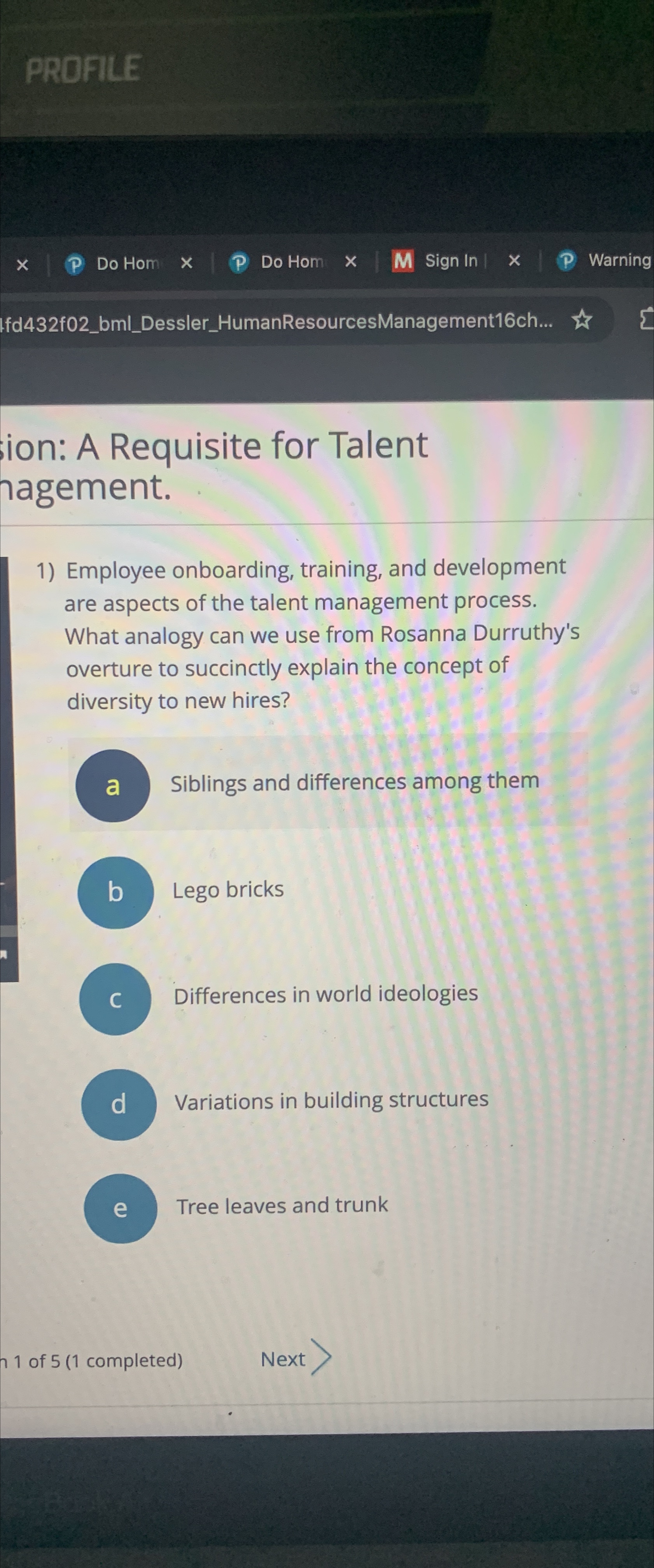  PROFILE ffd432f02_bml_Dessler_HumanResourcesManagement16ch... ion: A Requisite for Talent 1agement. Employee onboarding, training,