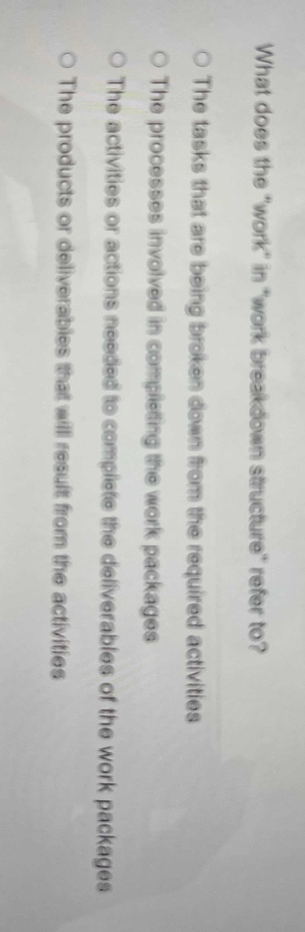  What does the "work" in "work breakdown structure" refer to? The