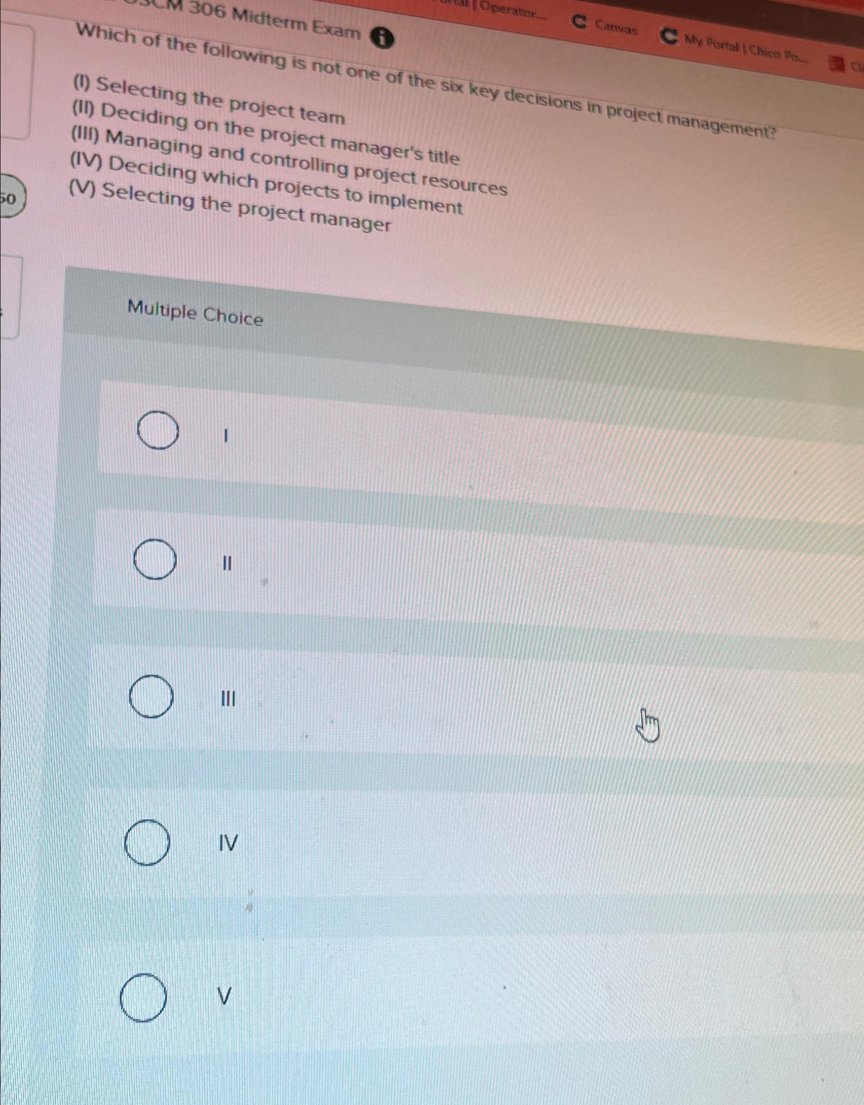  (II) Deciding project team (III) Managin on the project manager's title