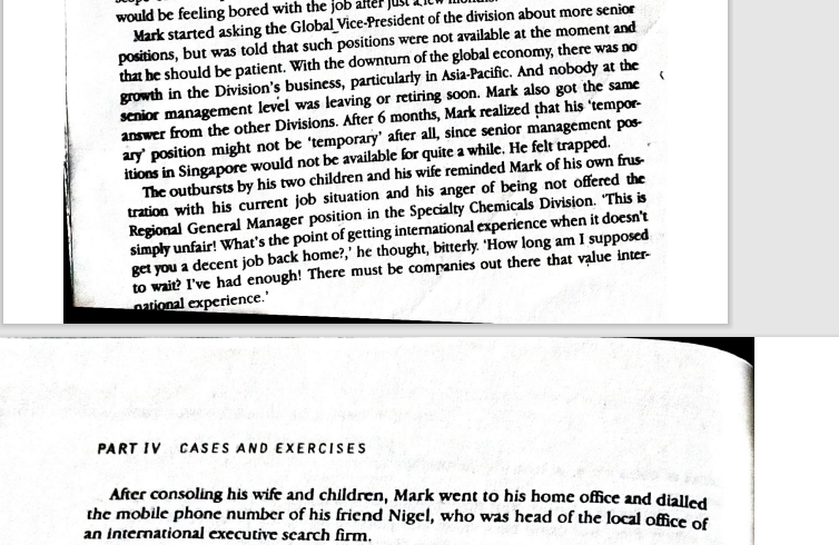 Rebekah France (INSEAD MBA 03J) Copyright 2003 INSEAD Singapore. Not to be