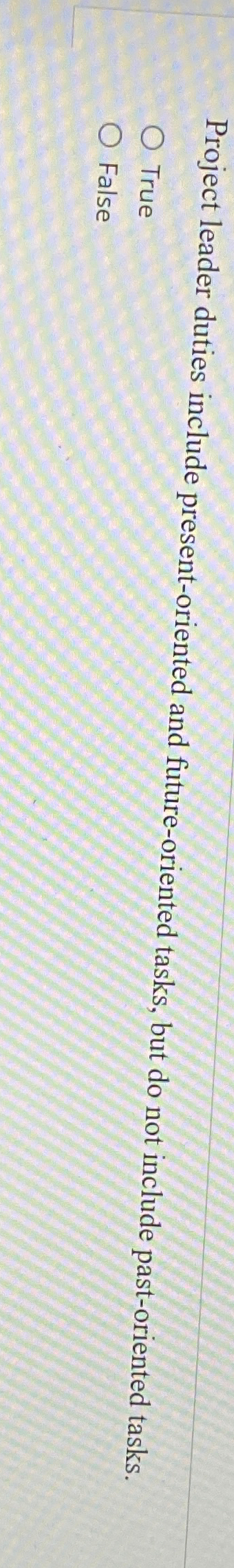  Project leader duties include present-oriented and future-oriented tasks, but do not