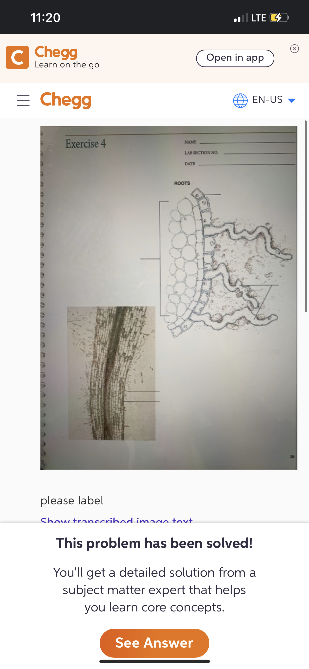  11:20 a] LTE [], C Chegg Learn on the go ox